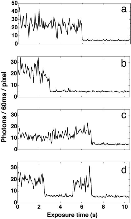 Fig. 4.