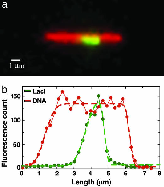 Fig. 10.