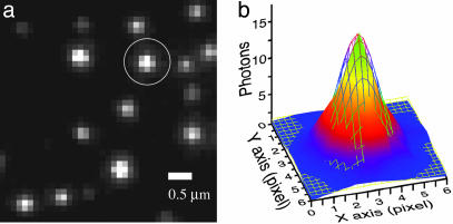 Fig. 3.