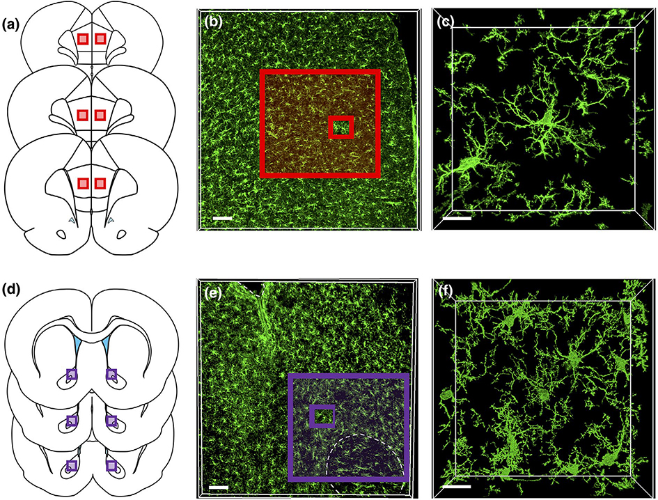 FIGURE 3