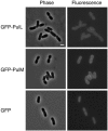 FIG. 5.