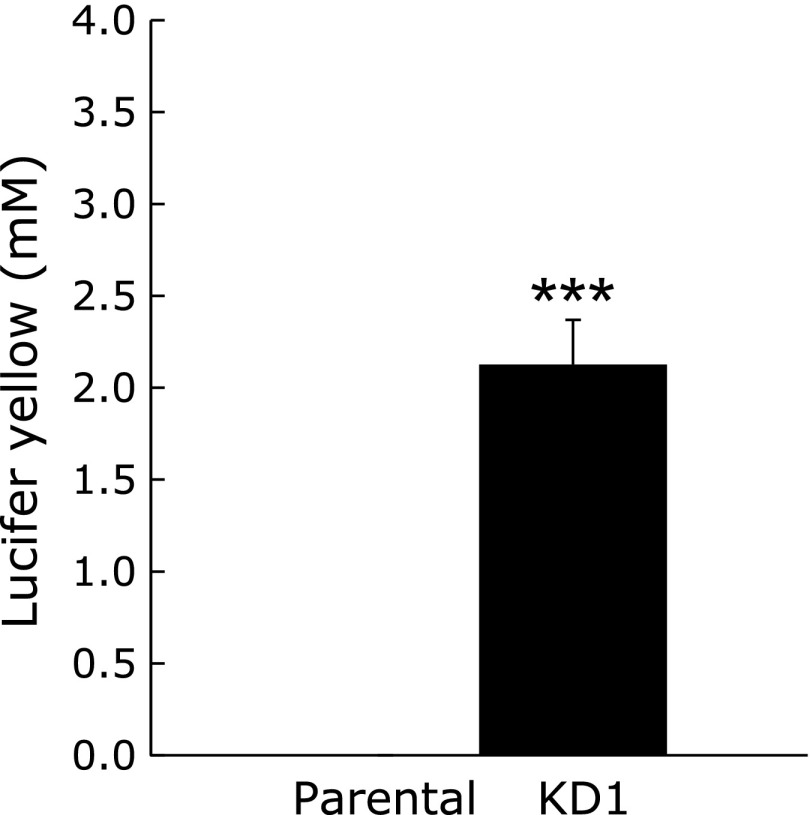 Fig. 6