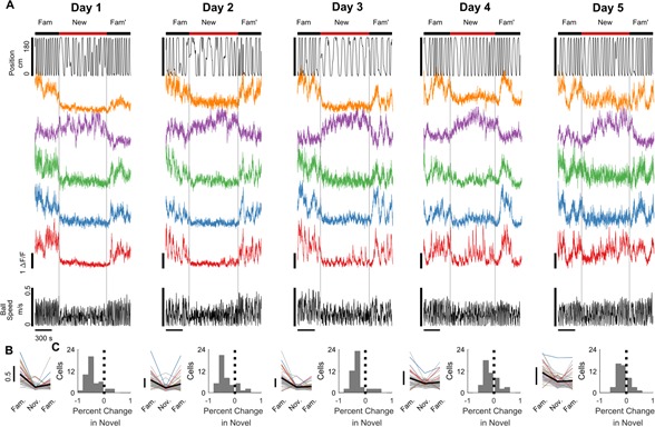 Figure 4—figure supplement 1.