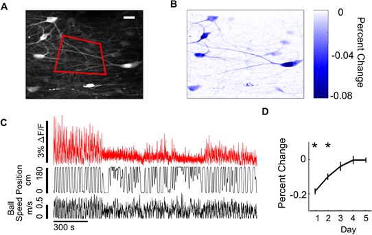 Figure 2—figure supplement 4.