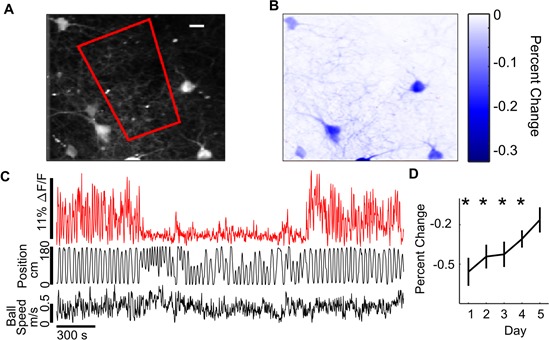 Figure 4—figure supplement 3.