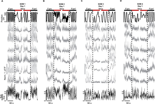 Figure 2—figure supplement 1.