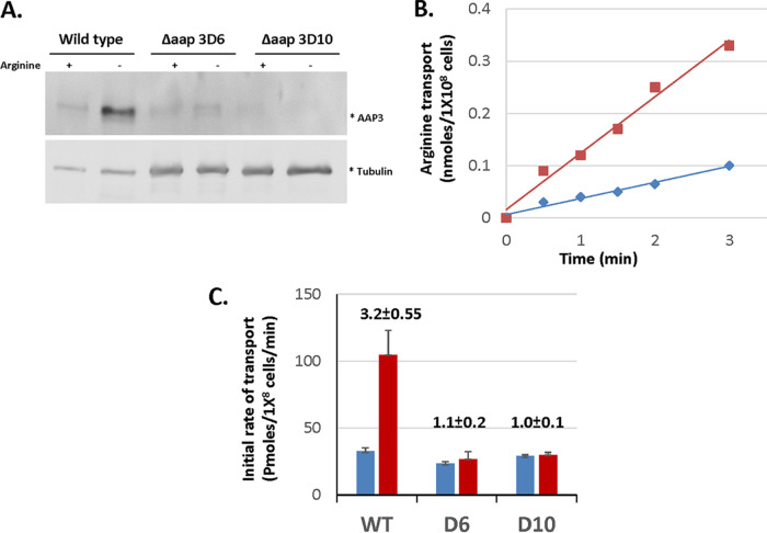 FIG 3