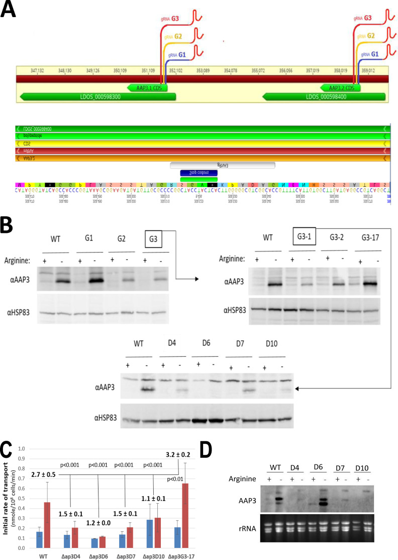 FIG 1