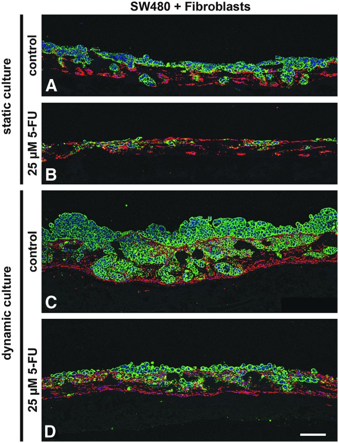 FIG. 10.