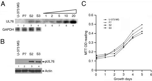 FIG. 6.