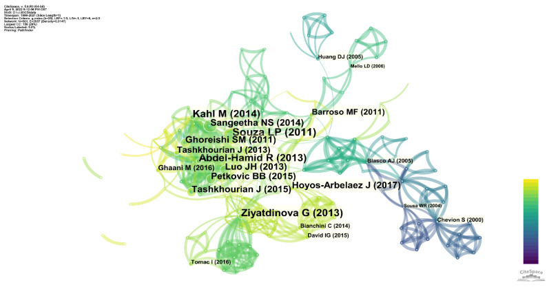 Figure 10