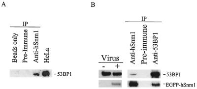 FIG. 9.