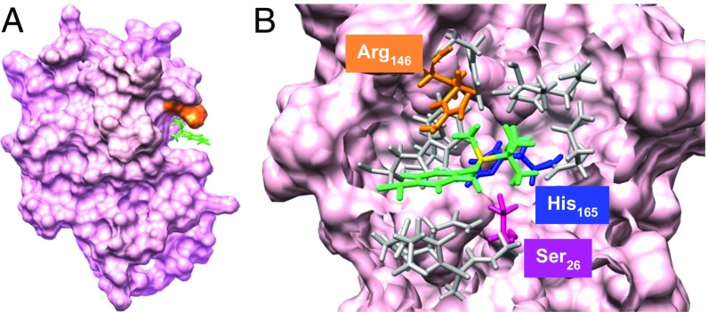 Fig. 6.