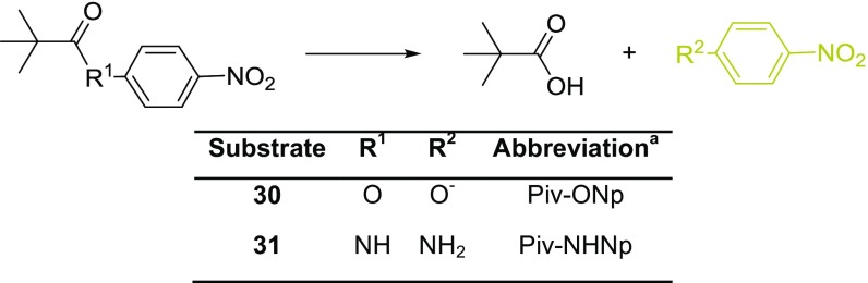 Scheme 4.