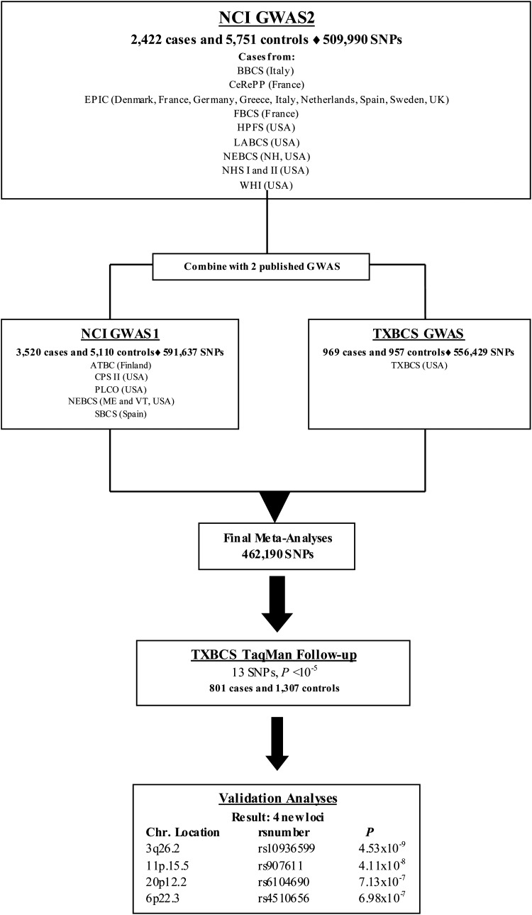 Figure 1.