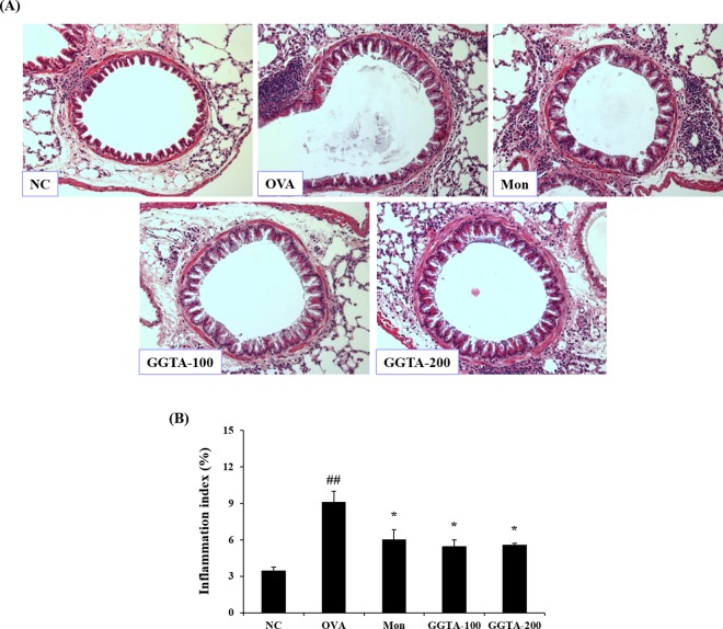 Fig 5