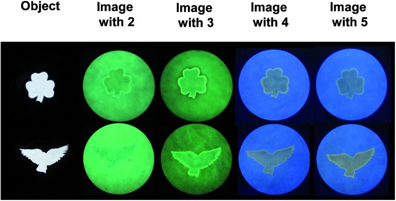 Fig. 2