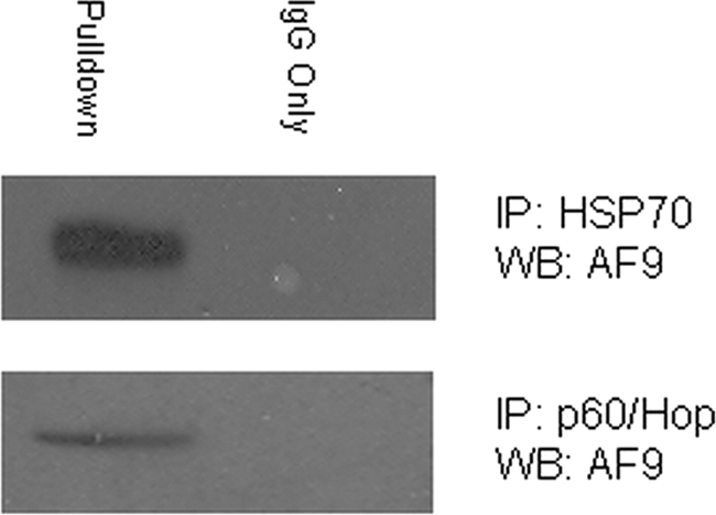 FIGURE 4.