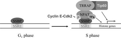 FIG. 8.