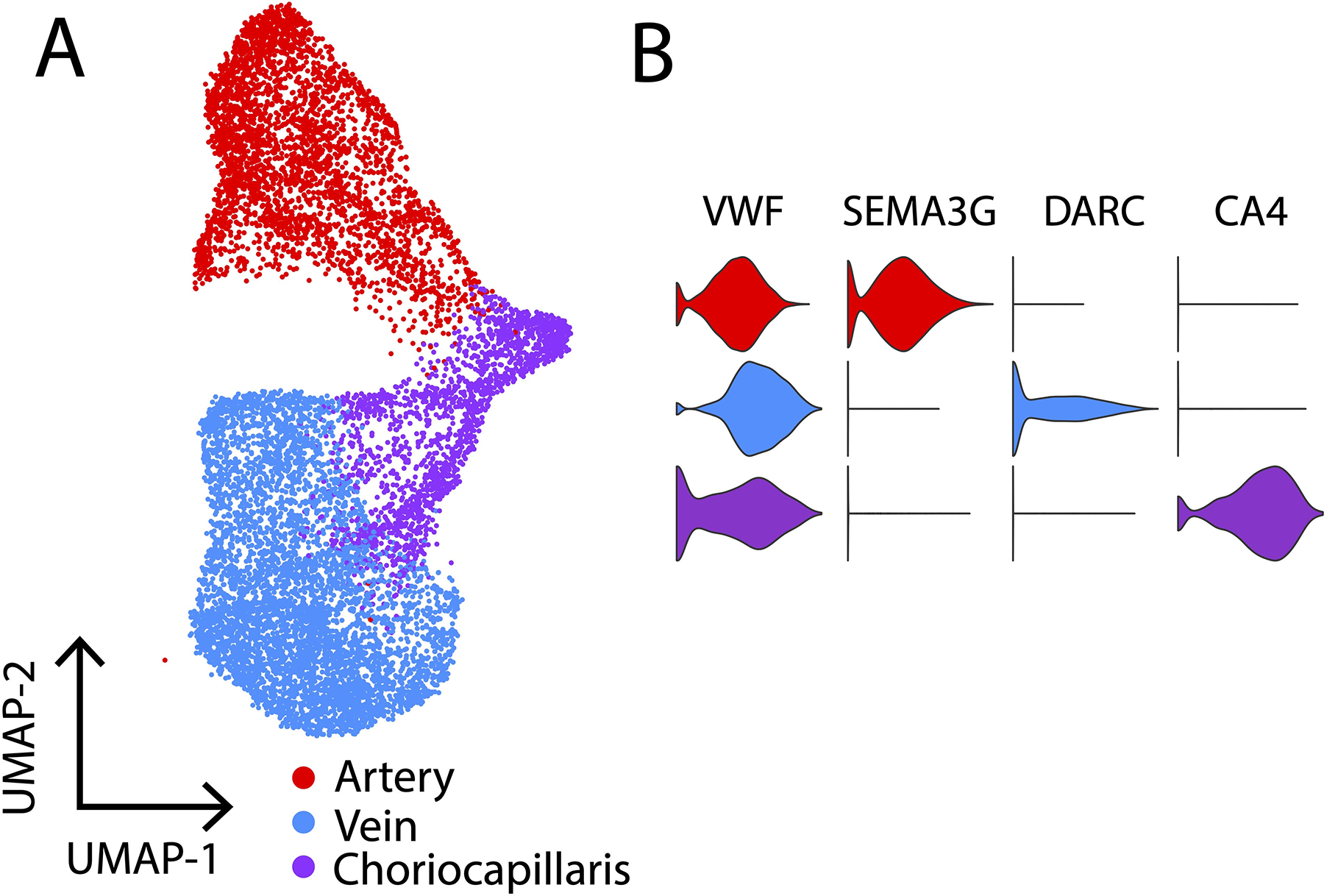 Figure 5: