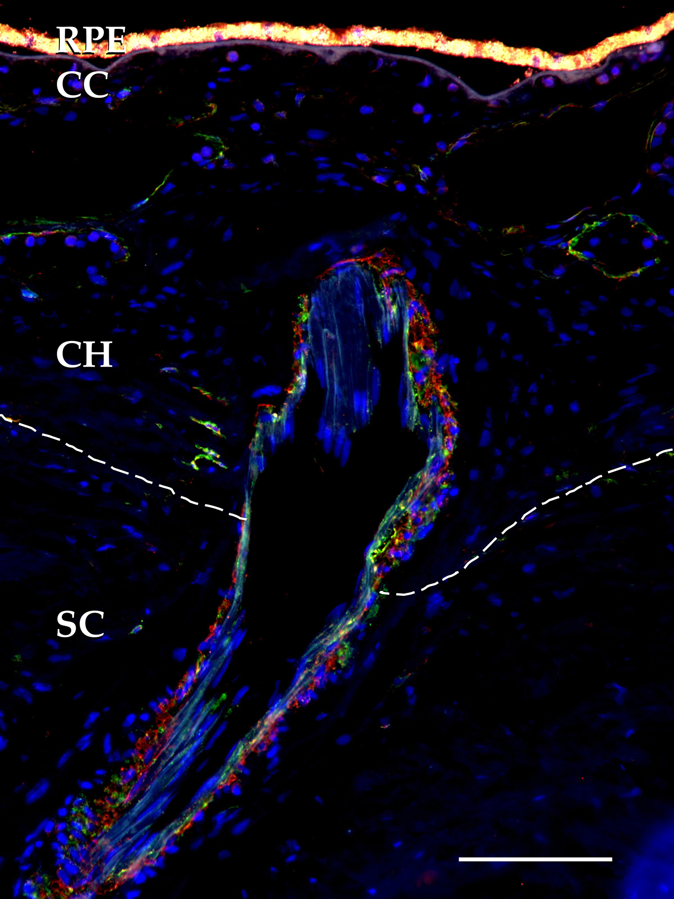 Figure 3.