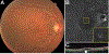 Figure 10.