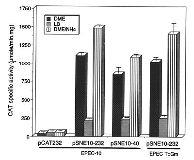 FIG. 5