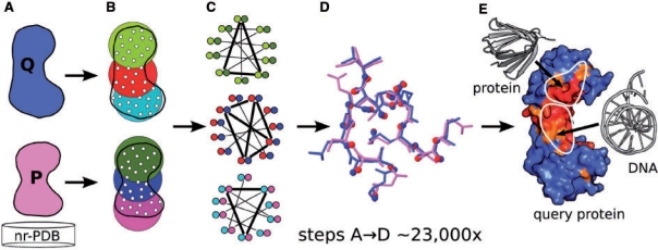 Fig. 2.