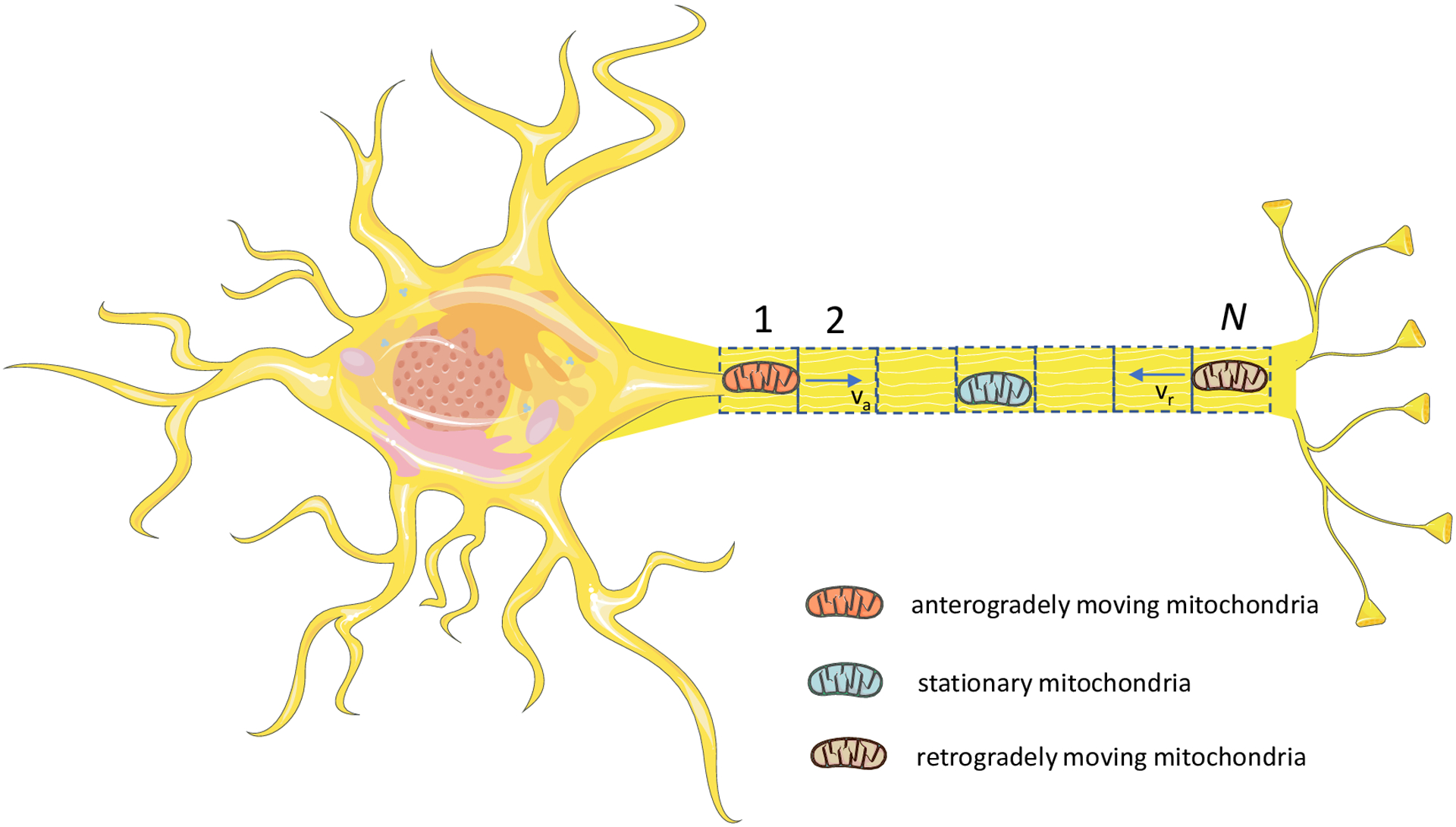 Fig. 1.