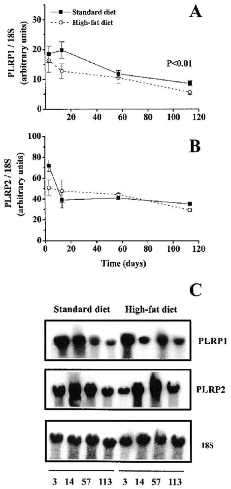 FIG. 5