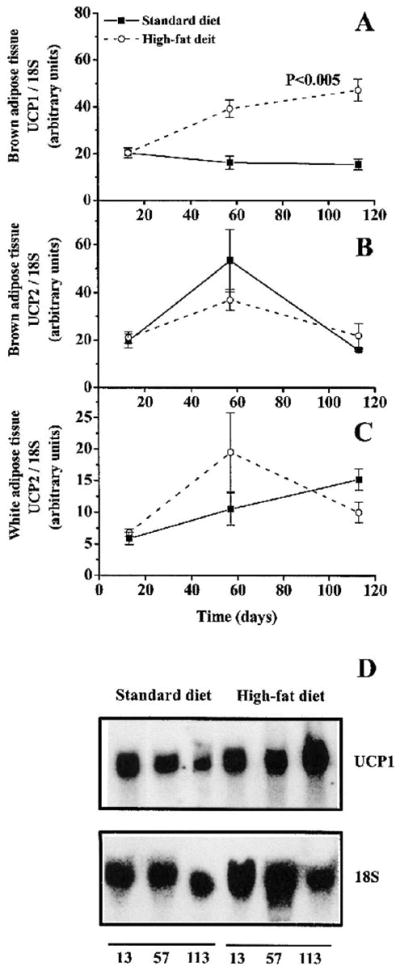 FIG. 6