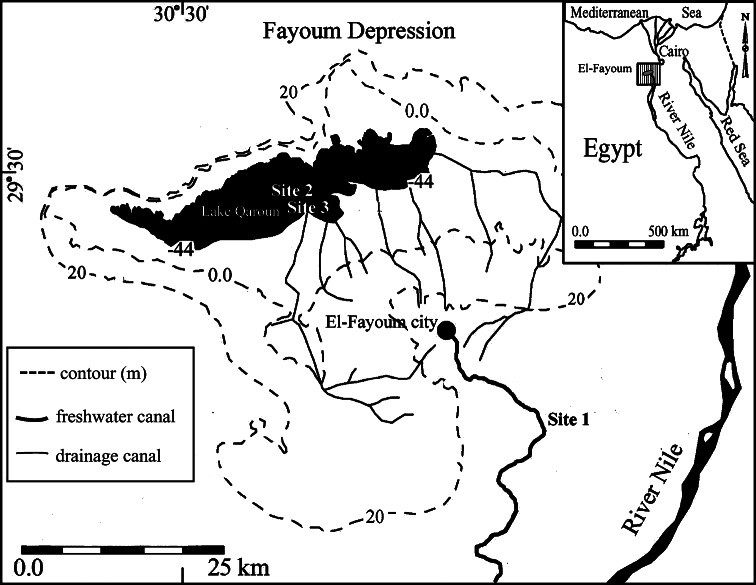 Fig. 1