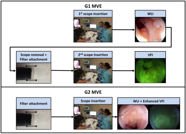 Fig. 2