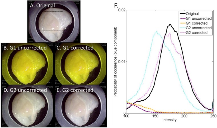 Fig. 3