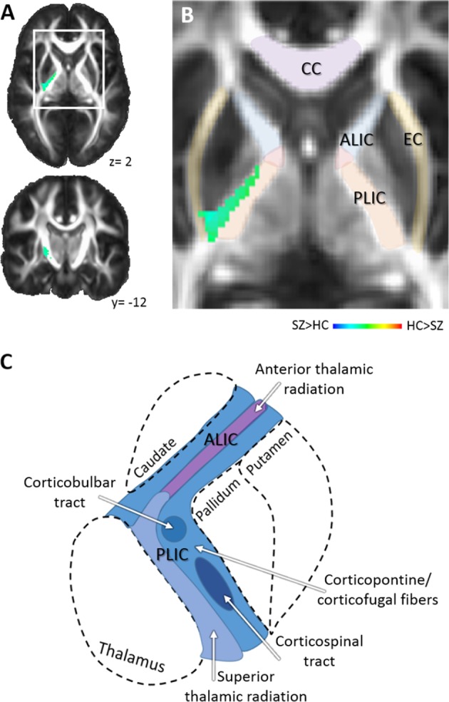 Fig. 2