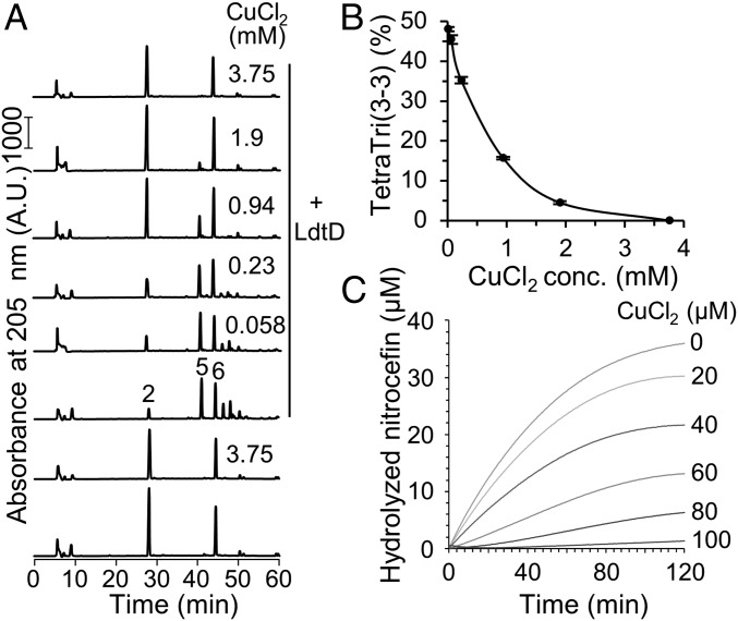 Fig. 4.