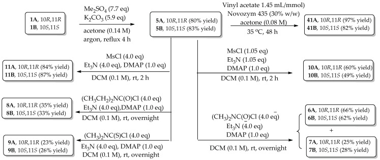 Scheme 5