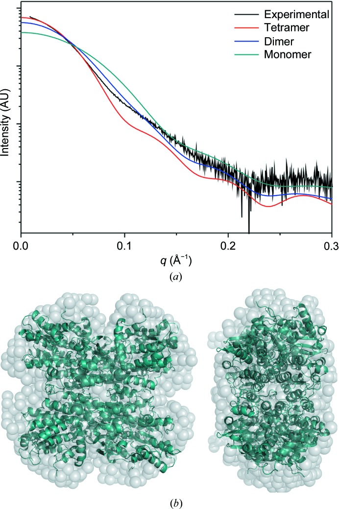 Figure 6