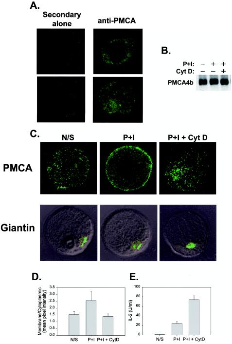 FIG.8.