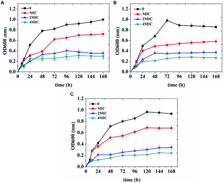 FIGURE 4