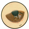 iv-4