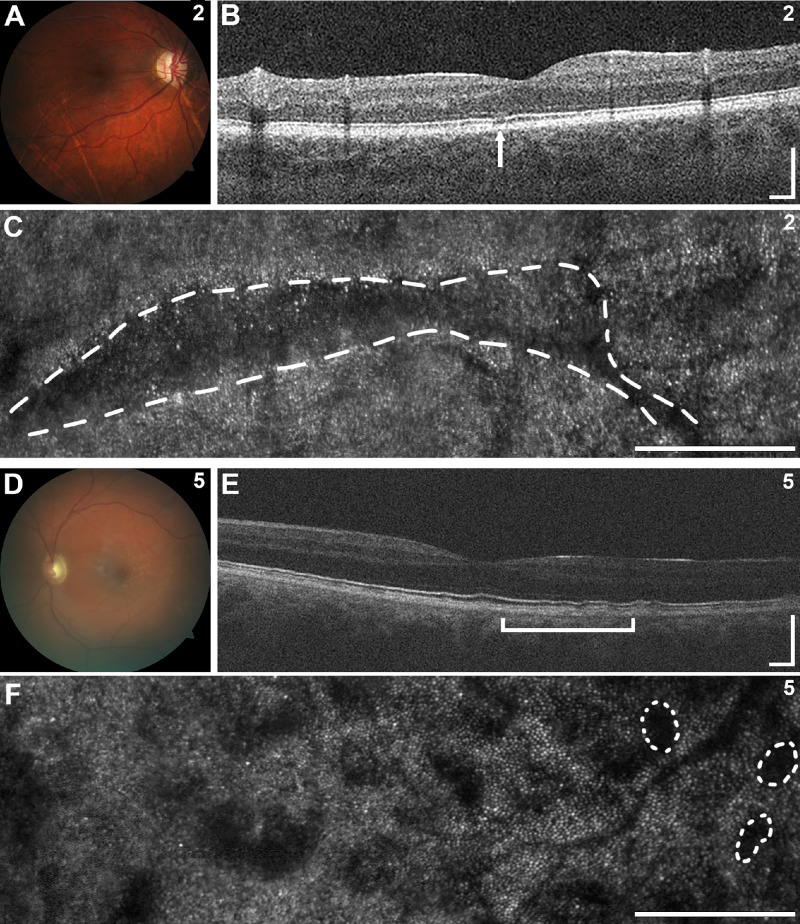 Figure 2.