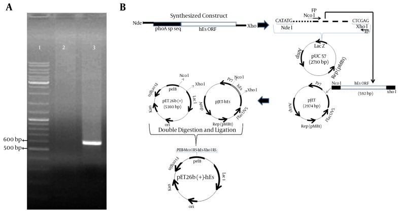 Figure 1.