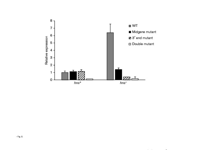 Fig. 8.