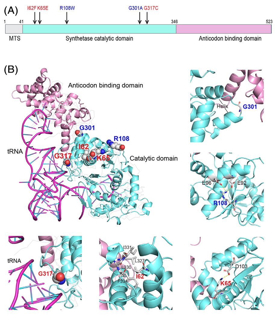 FIGURE 3