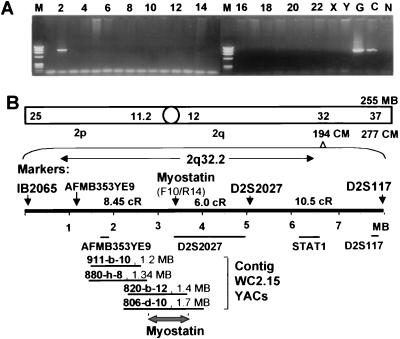 Figure 2