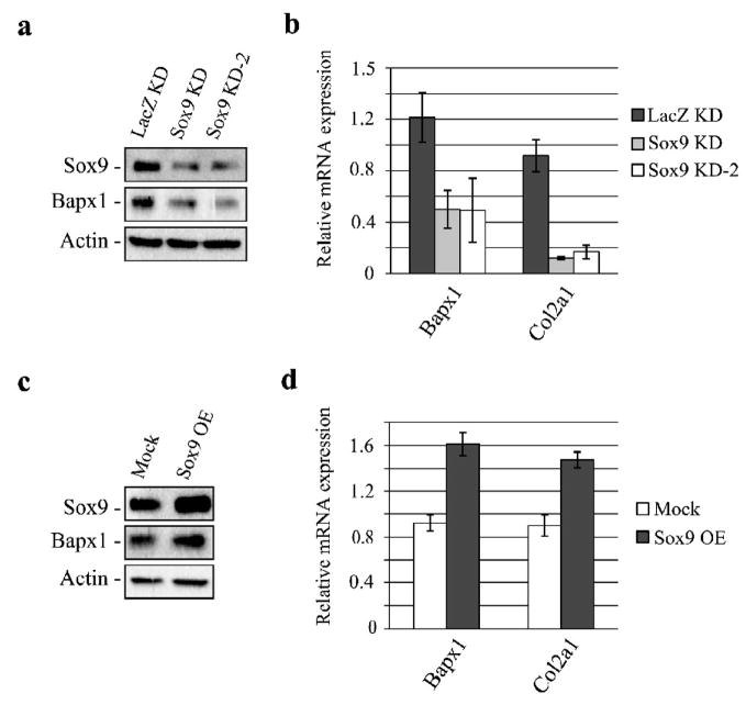 Fig. 2