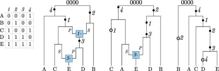 Fig. 1.