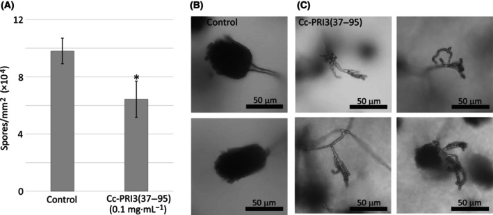 Fig. 8