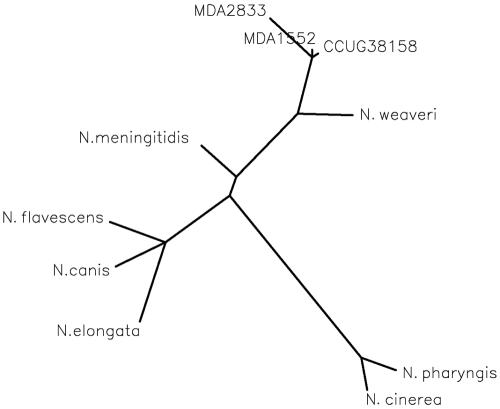 FIG. 1.